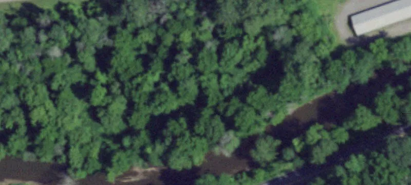 2520 Rte 31