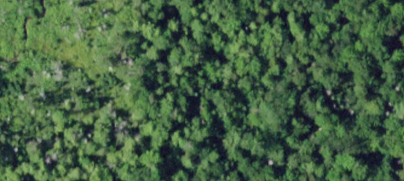 1243 State Rte 29a