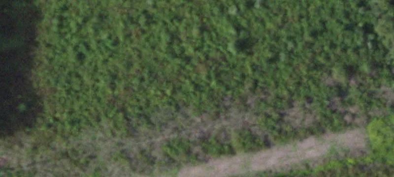 181 Ter Dr