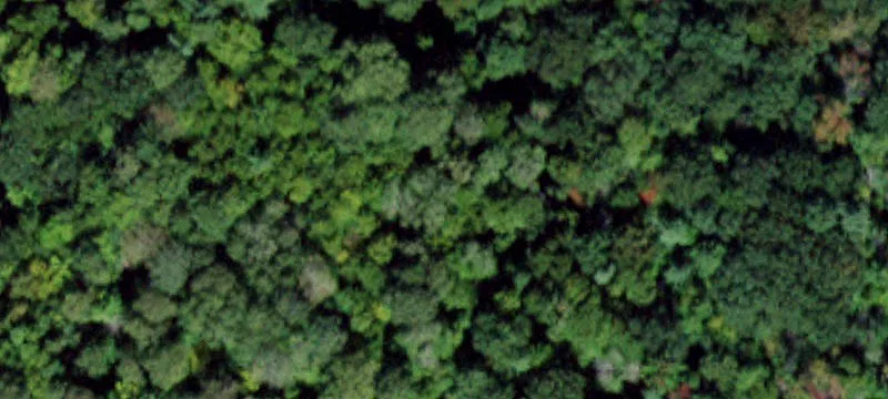 158 Stark Rd