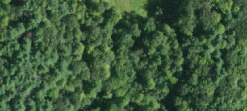 5389 Rte 32