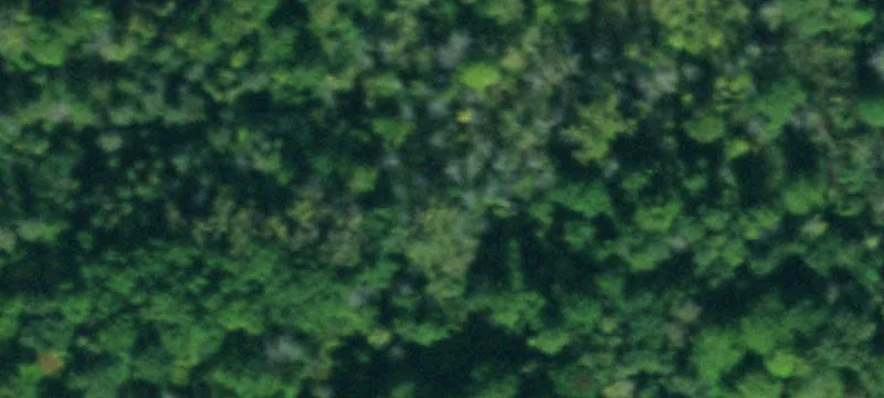 2990 Sweet Home Rd