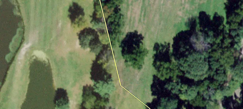 398 County Rd 60