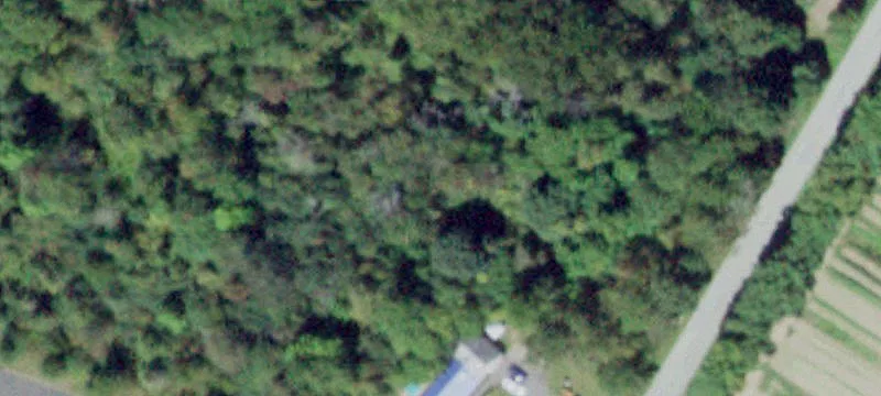 261 Neelytown Rd