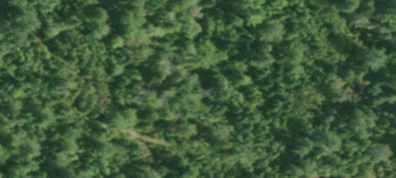 Cascade Rd
