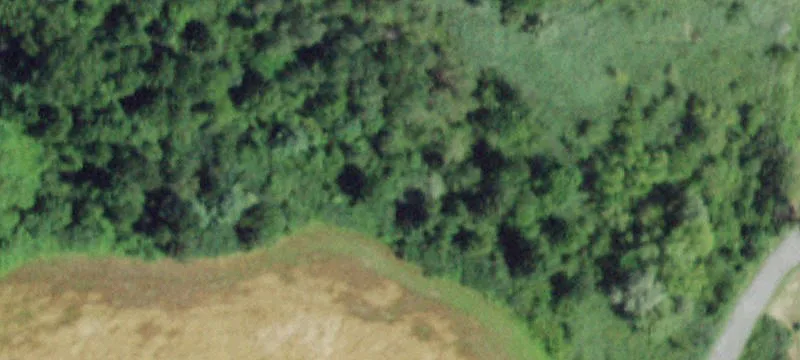 Peacedale Rd