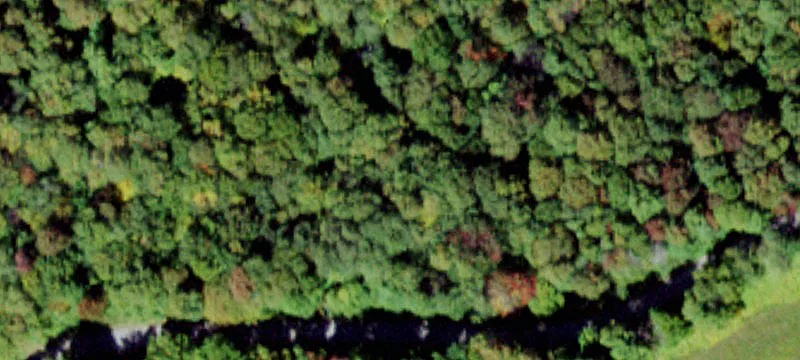 4000 Red Hl Rd