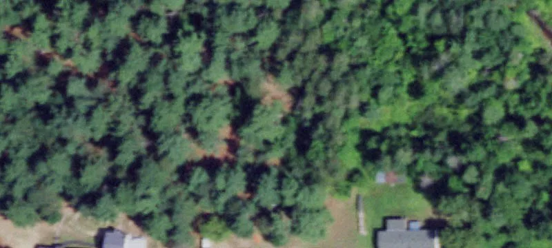 Campsite Rd