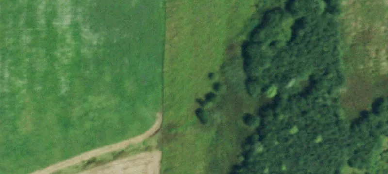 1000 Jct Rd