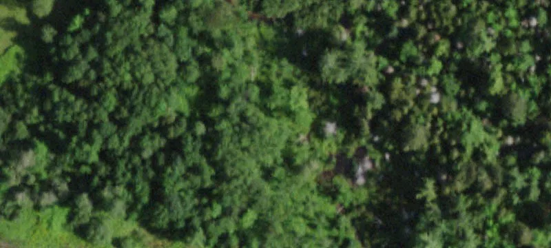 10050 Nys Rte 9n