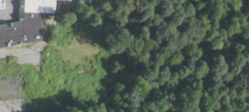 51 Vassar Rd