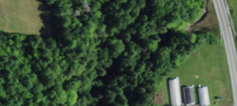 2961 Nys Rte 9n