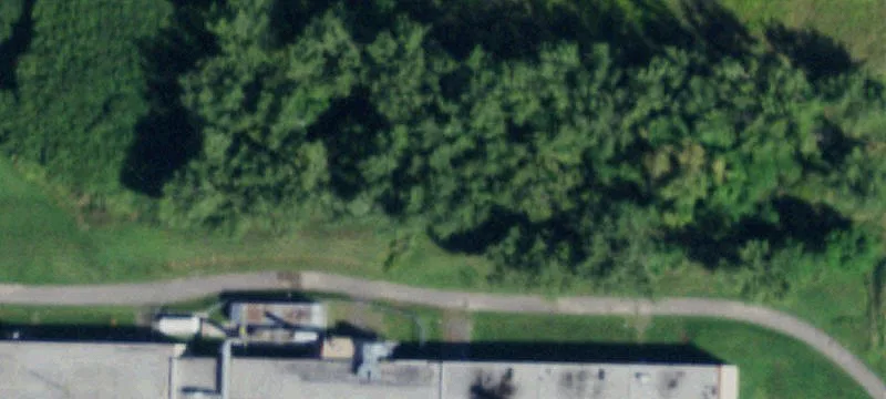 14770 State Rte 31