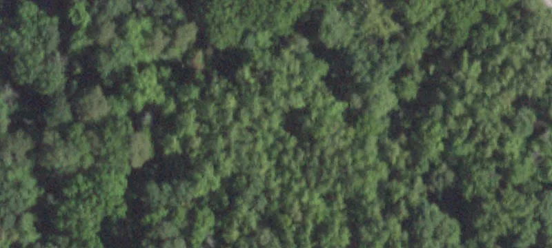 Rte 376