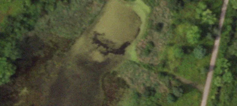 615 County Rd 32
