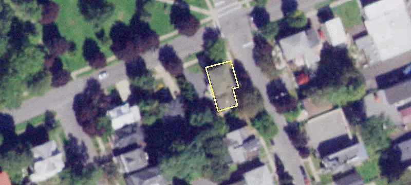40 Cayuga St
