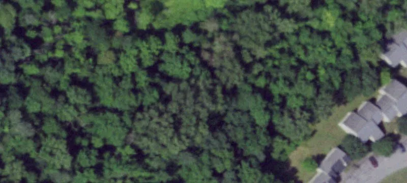 8799 Entry Rd