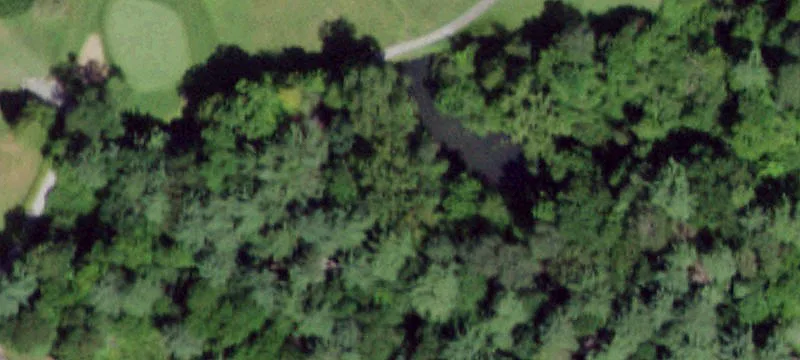 907 State Rte 149
