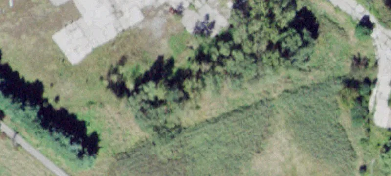 210 Black Mdw Rd