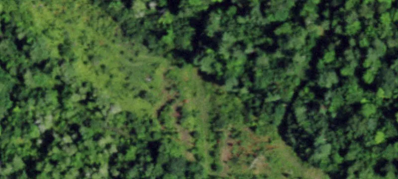 Cheney Rd, NY