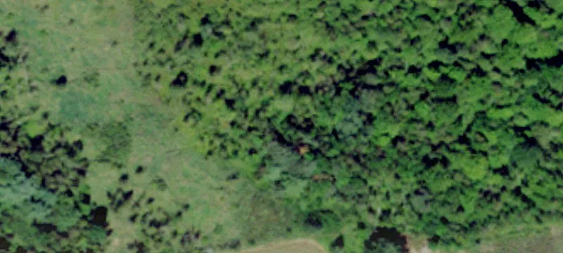 8741 Cut Off Rd