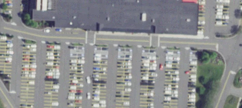 1955 Empire Blvd