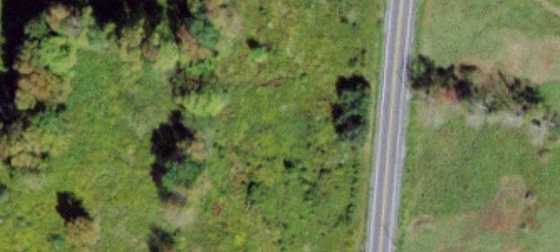 1175 County Rd 114