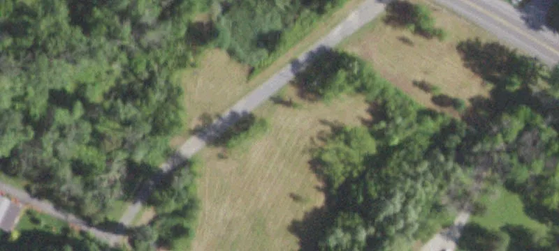 Bischoff Ln