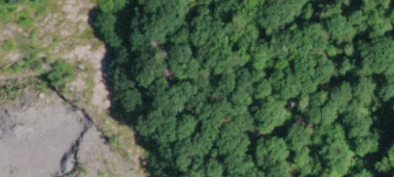 420 Lk Desolation Rd