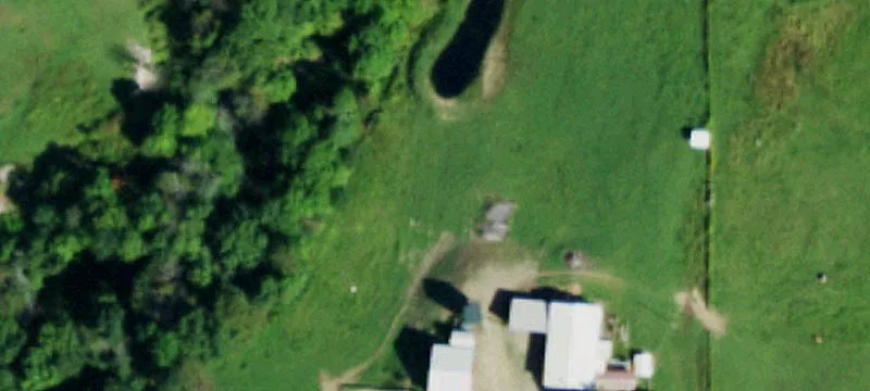 10704 Martin Rd