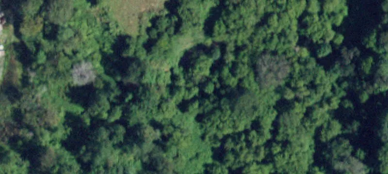 11350 State Rte 149