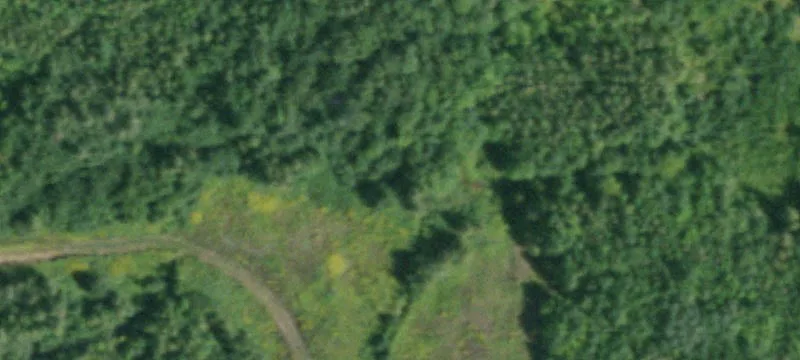 Drown Rd, NY