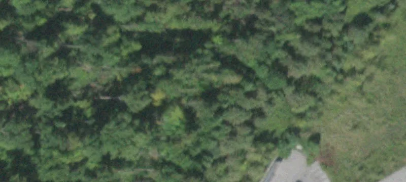 Rte 9d
