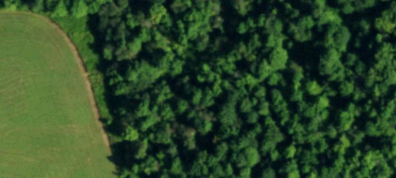 11469 Warner Gulf Rd