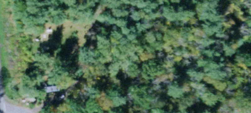 35 Desilva Rd