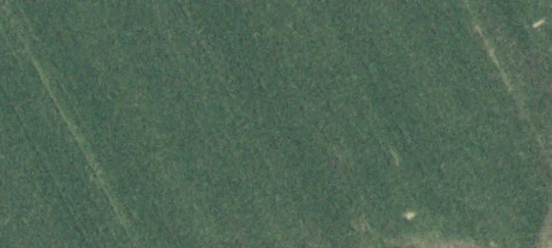 Nys Rt 365