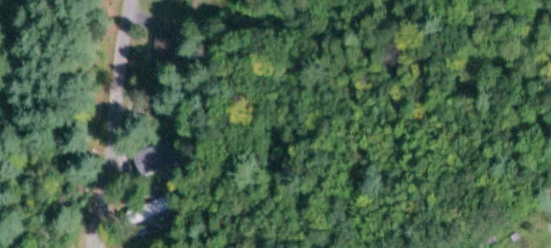 174 Hagedorn Mls Rd