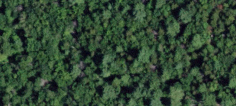 91 Dyken Pond Rd