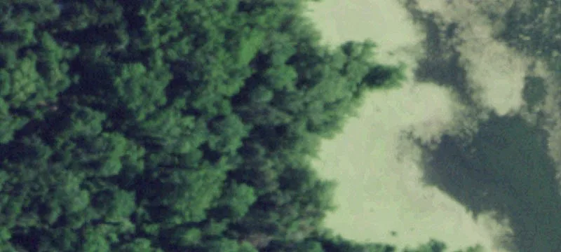 2212 Toll Rd