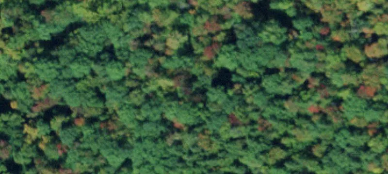 Guiles Rd
