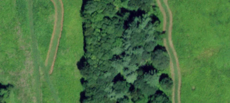 65 1st Rd