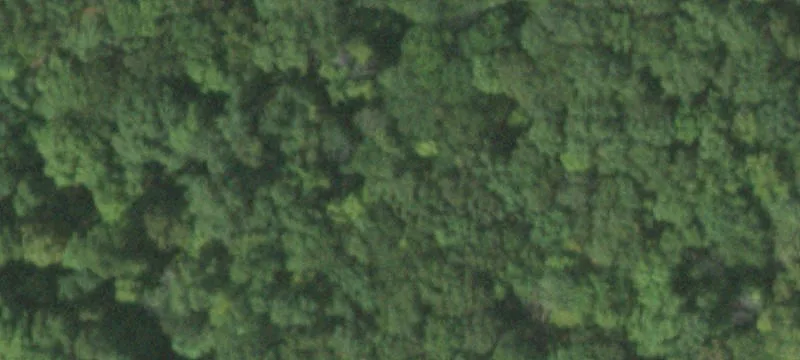 11 Bear Mtn Brg Rd