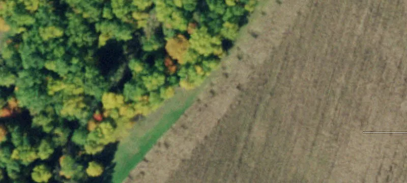 25371 State Rte 12