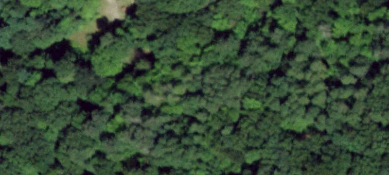 200 Deer Run Dr