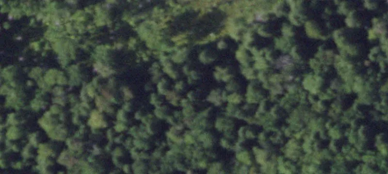 8062 Maple Flts Rd