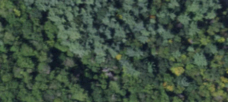 8433 Nys Rt 13