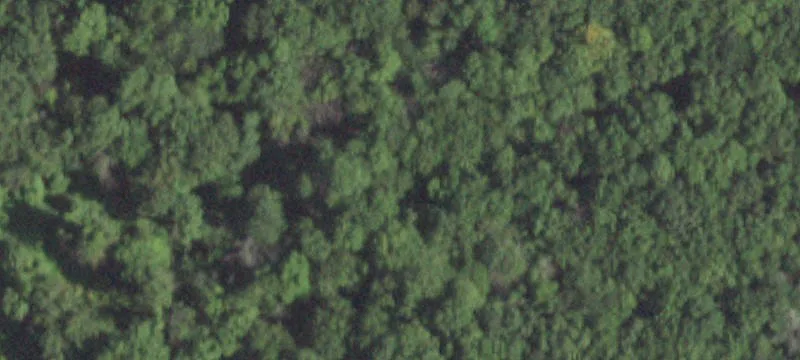 50 Prospect Hl Rd