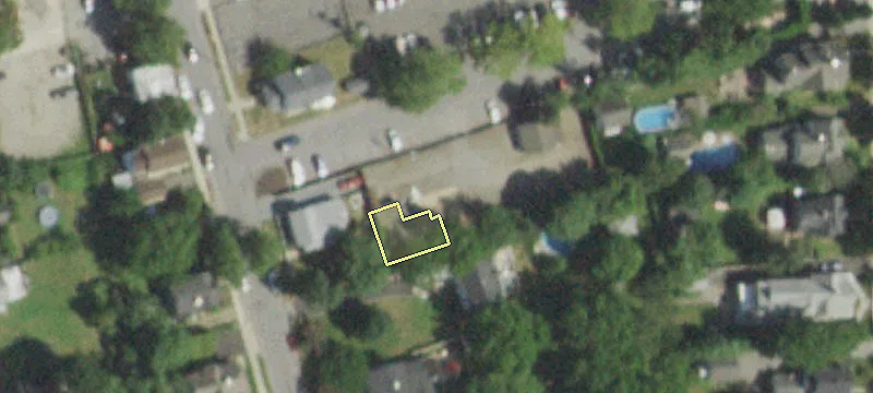 31 Un Ave