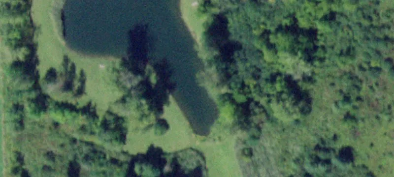 3800 Macdougall Rd
