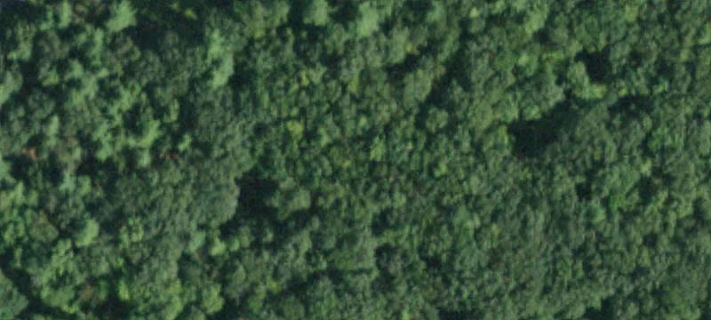 110 Lk Mls Rd
